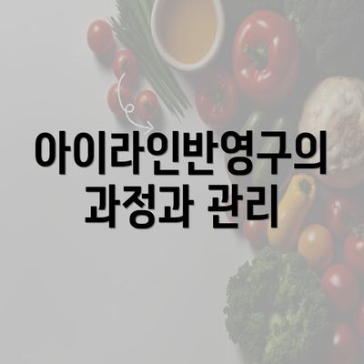 아이라인반영구의 과정과 관리