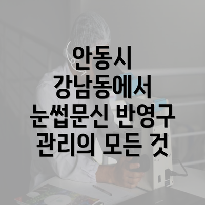 안동시 강남동에서 눈썹문신 반영구 관리의 모든 것