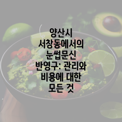 양산시 서창동에서의 눈썹문신 반영구: 관리와 비용에 대한 모든 것