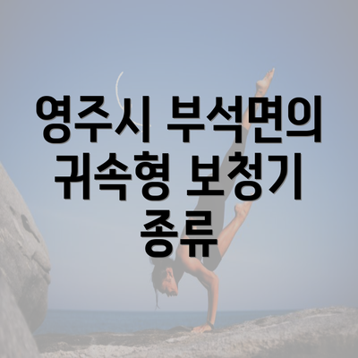 영주시 부석면의 귀속형 보청기 종류