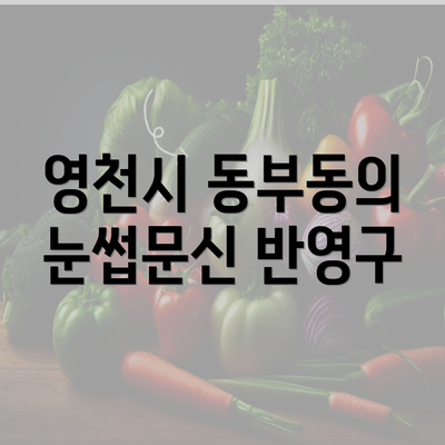 영천시 동부동의 눈썹문신 반영구