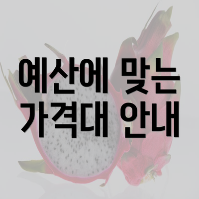 예산에 맞는 가격대 안내