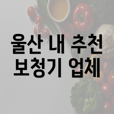 울산 내 추천 보청기 업체