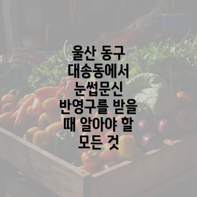 울산 동구 대송동에서 눈썹문신 반영구를 받을 때 알아야 할 모든 것