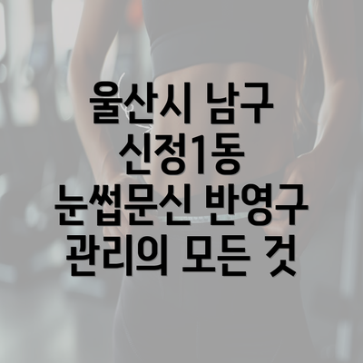 울산시 남구 신정1동 눈썹문신 반영구 관리의 모든 것