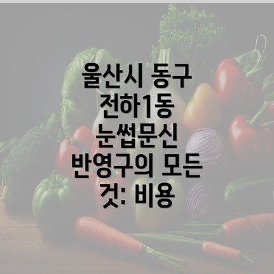 울산시 동구 전하1동 눈썹문신 반영구의 모든 것: 비용