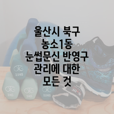 울산시 북구 농소1동 눈썹문신 반영구 관리에 대한 모든 것