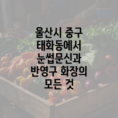 울산시 중구 태화동에서 눈썹문신과 반영구 화장의 모든 것