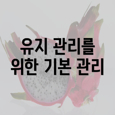 유지 관리를 위한 기본 관리