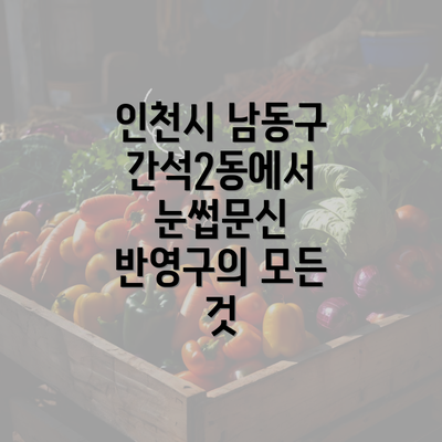 인천시 남동구 간석2동에서 눈썹문신 반영구의 모든 것