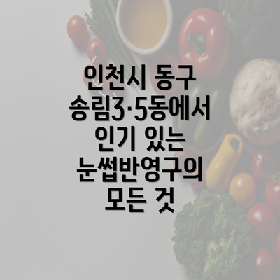 인천시 동구 송림3·5동에서 인기 있는 눈썹반영구의 모든 것