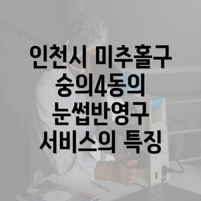 인천시 미추홀구 숭의4동의 눈썹반영구 서비스의 특징