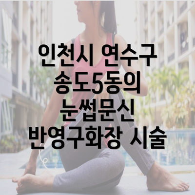 인천시 연수구 송도5동의 눈썹문신 반영구화장 시술