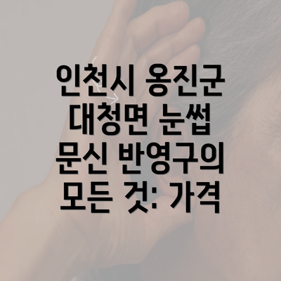 인천시 옹진군 대청면 눈썹 문신 반영구의 모든 것: 가격