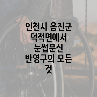 인천시 옹진군 덕적면에서 눈썹문신 반영구의 모든 것