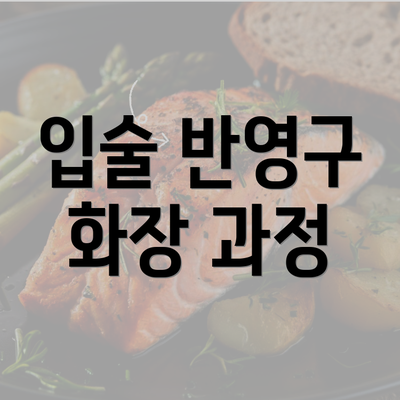 입술 반영구 화장 과정