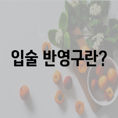 입술 반영구란?