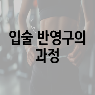 입술 반영구의 과정