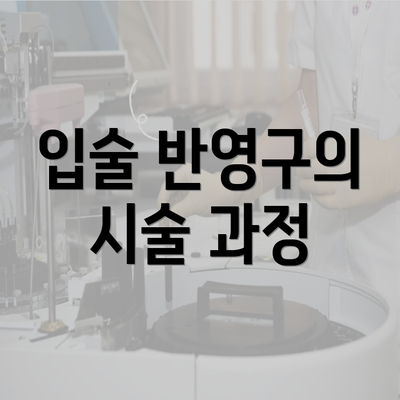 입술 반영구의 시술 과정