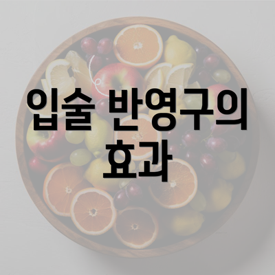 입술 반영구의 효과