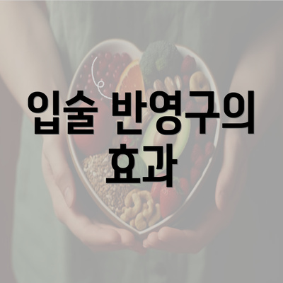 입술 반영구의 효과