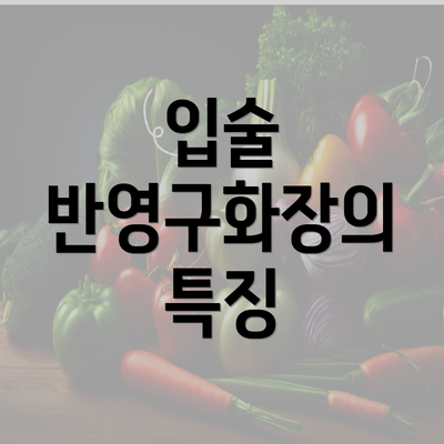 입술 반영구화장의 특징