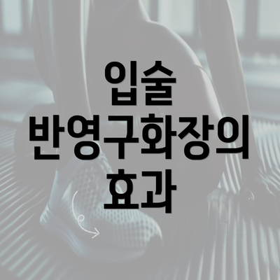 입술 반영구화장의 효과