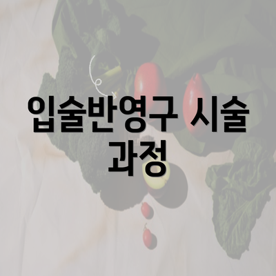 입술반영구 시술 과정