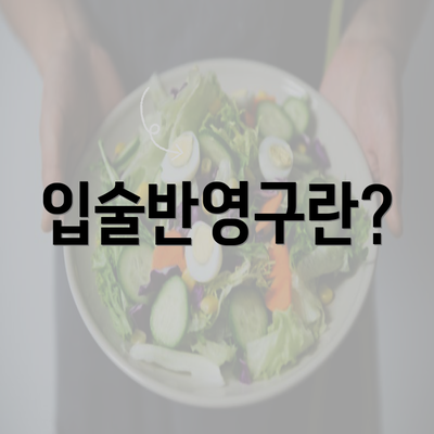 입술반영구란?