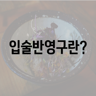 입술반영구란?