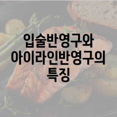 입술반영구와 아이라인반영구의 특징