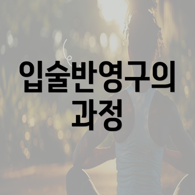 입술반영구의 과정