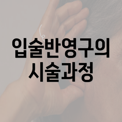 입술반영구의 시술과정