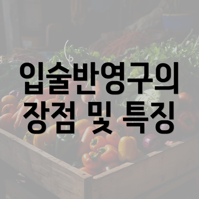 입술반영구의 장점 및 특징