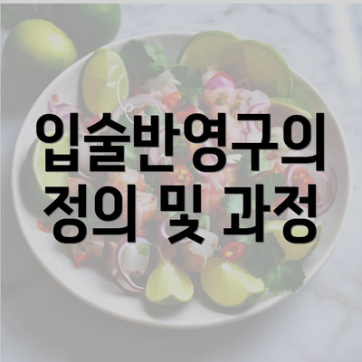 입술반영구의 정의 및 과정