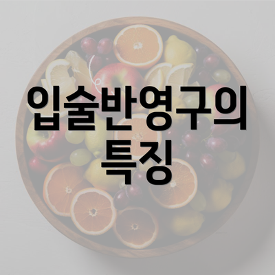 입술반영구의 특징