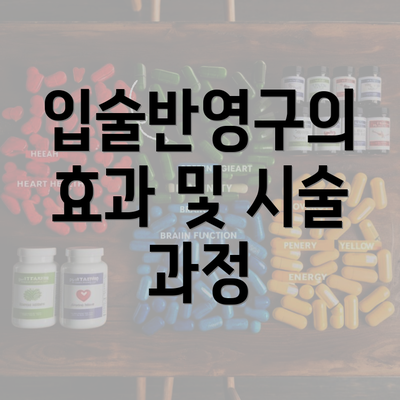 입술반영구의 효과 및 시술 과정