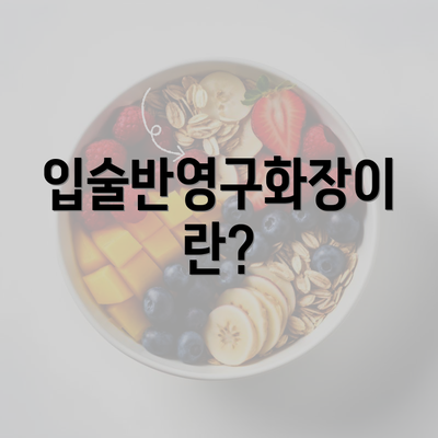 입술반영구화장이란?