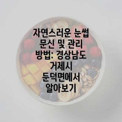 자연스러운 눈썹 문신 및 관리 방법: 경상남도 거제시 둔덕면에서 알아보기