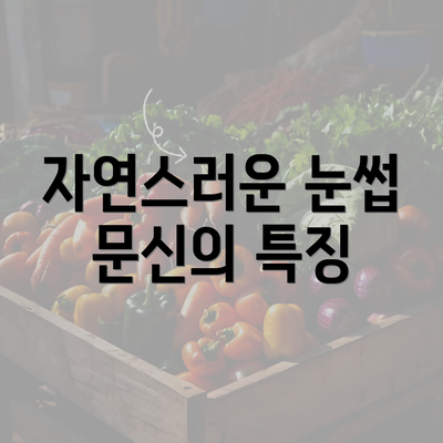 자연스러운 눈썹 문신의 특징