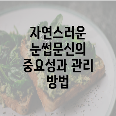 자연스러운 눈썹문신의 중요성과 관리 방법