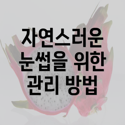 자연스러운 눈썹을 위한 관리 방법