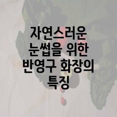 자연스러운 눈썹을 위한 반영구 화장의 특징