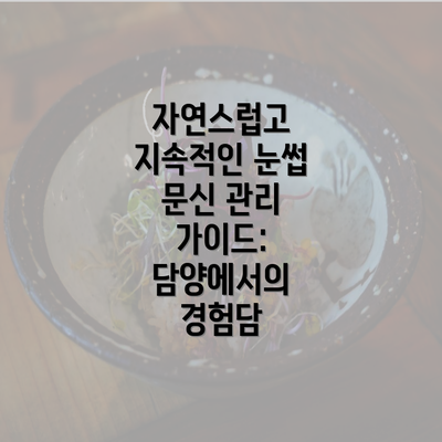 자연스럽고 지속적인 눈썹 문신 관리 가이드: 담양에서의 경험담