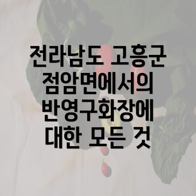 전라남도 고흥군 점암면에서의 반영구화장에 대한 모든 것