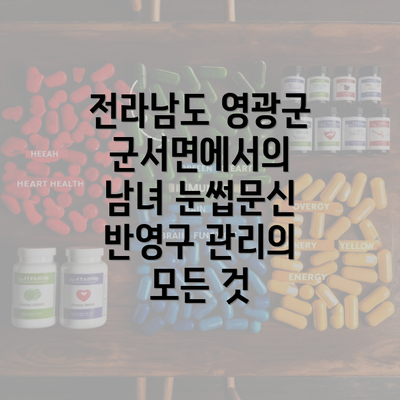 전라남도 영광군 군서면에서의 남녀 눈썹문신 반영구 관리의 모든 것