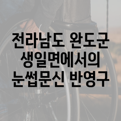 전라남도 완도군 생일면에서의 눈썹문신 반영구