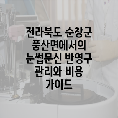 전라북도 순창군 풍산면에서의 눈썹문신 반영구 관리와 비용 가이드