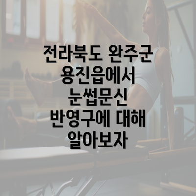 전라북도 완주군 용진읍에서 눈썹문신 반영구에 대해 알아보자