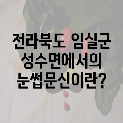 전라북도 임실군 성수면에서의 눈썹문신이란?